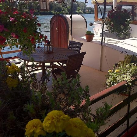 Peniche Le Hasard Bed and Breakfast Villeneuve-lès-Avignon Εξωτερικό φωτογραφία