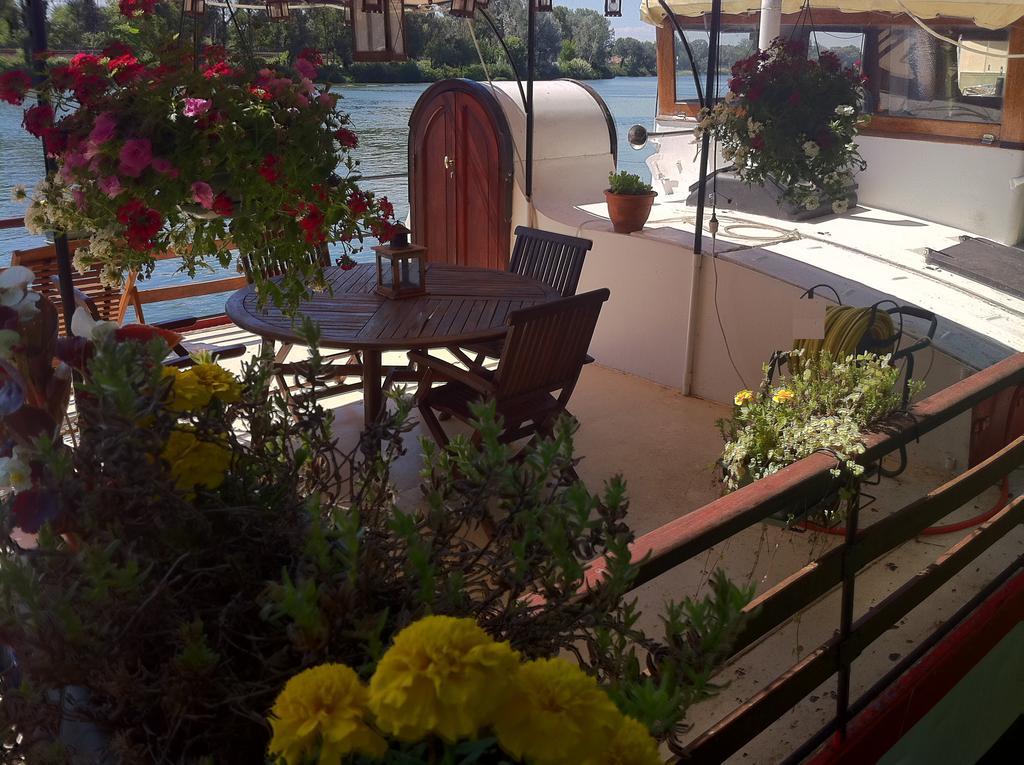 Peniche Le Hasard Bed and Breakfast Villeneuve-lès-Avignon Εξωτερικό φωτογραφία